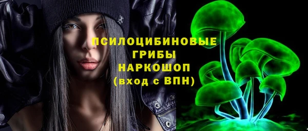шишки Лиски
