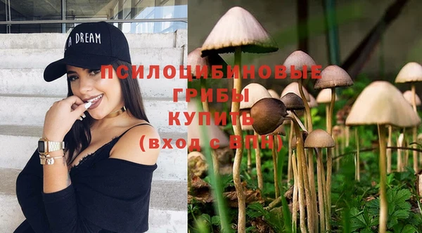 сатива Лихославль