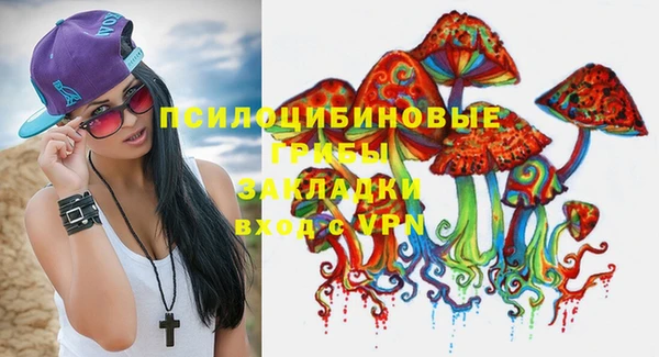 шишки Лиски