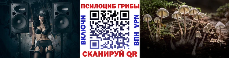 Псилоцибиновые грибы Magic Shrooms  Лобня 